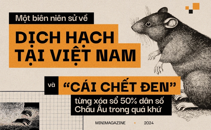 Một biên niên sử về dịch hạch tại Việt Nam và "Cái chết đen" từng xóa sổ 50% dân số Châu Âu trong quá khứ