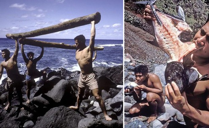 Câu chuyện đáng kinh ngạc về Castaways Tonga: Làm thế nào sáu thanh thiếu niên sống sót sau 15 tháng trên một hòn đảo hoang vắng?