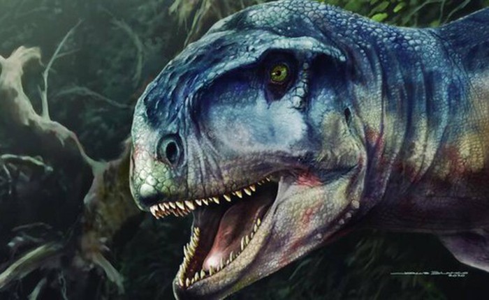 Người anh em họ mới quái dị của T. Rex với siêu thính giác được khai quật ở Argentina