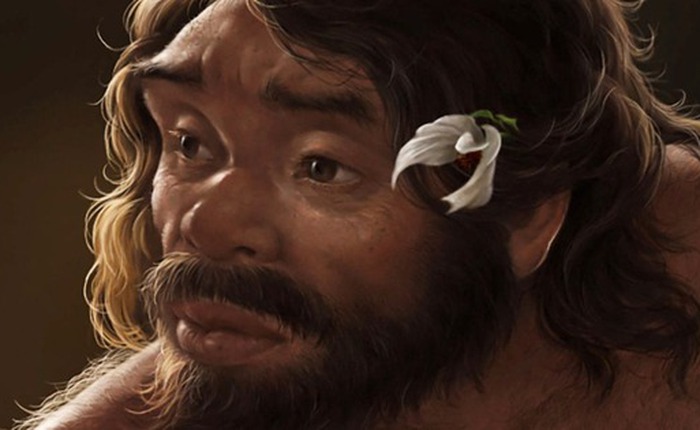 Hộp sọ 1 triệu năm tuổi hé lộ manh mối về nguồn gốc của người Neanderthal, người Denisova và cả con người