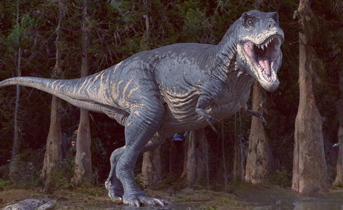Huyết sắc tố của khủng long bạo chúa Tyrannosaurus rex được xác nhận sau hàng chục triệu năm, liệu nó có thể được hồi sinh?