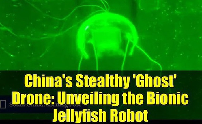 Các nhà khoa học đã chế tạo thành công 'sứa robot tàng hình': Vũ khí mới cho các nhiệm vụ bí mật dưới đáy biển Các nhà khoa học đã chế tạo thành công 'sứa robot tàng hình': Vũ khí mới cho các nhiệm vụ bí mật dưới đáy biển