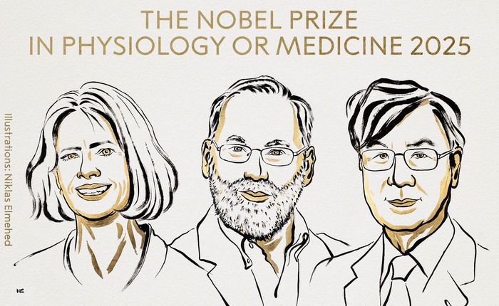 Giải Nobel Y sinh 2025 được trao cho ba nhà khoa học nhờ khám phá cơ chế 'phanh' hệ miễn dịch của con người