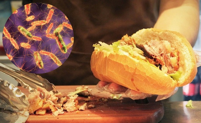 Hiểm họa mang tên Salmonella: Vi khuẩn ẩn mình trong bữa ăn hàng ngày có thể gây tử vong