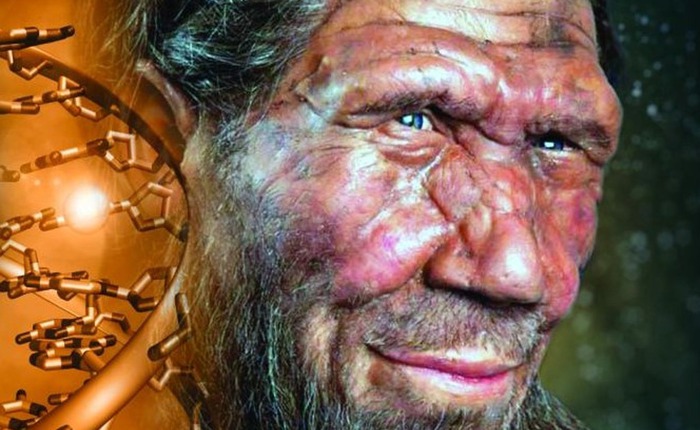 Bí mật giải mã 'gương mặt thô ráp' của người Neanderthal: Tất cả nằm trong vùng DNA tối của chúng ta