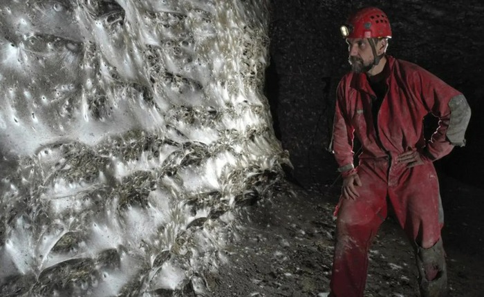 Phát hiện mạng nhện lớn nhất thế giới, đủ lớn để bắt được một con cá voi