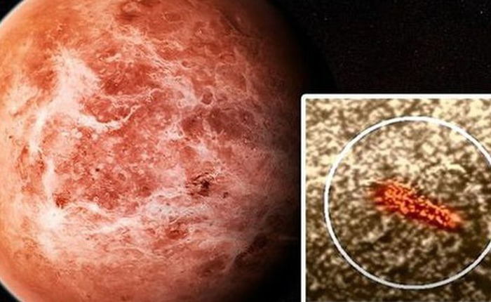 Nếu có sự sống trên Sao Kim: Những sinh vật tồn tại trong 'địa ngục mây axit' sẽ ra sao?