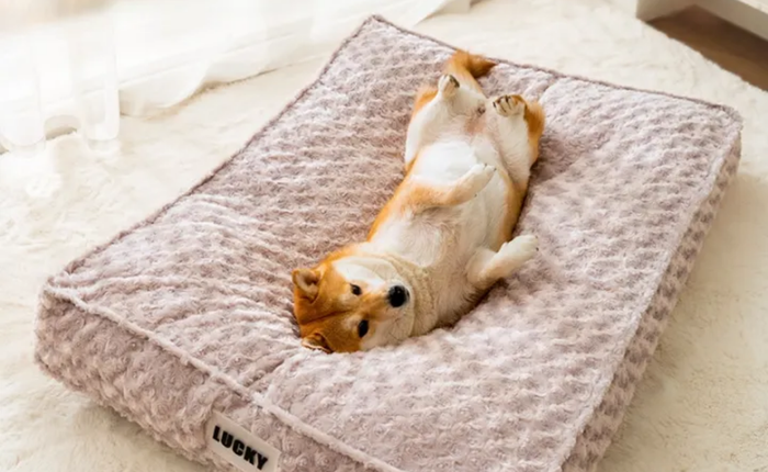 Sale đôi 11.11 đã đến, tranh thủ tích cóp loạt deal cho "boss" đang giảm đến hơn 60%