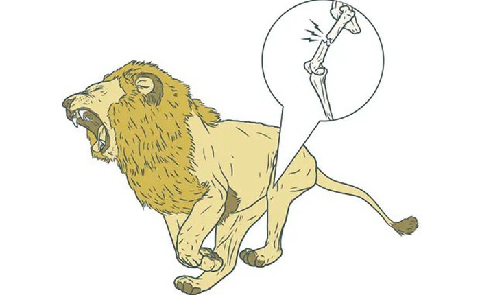 Nếu Trái Đất lớn gấp đôi: Trọng lực mới sẽ định hình lại loài người và thế giới tự nhiên ra sao?