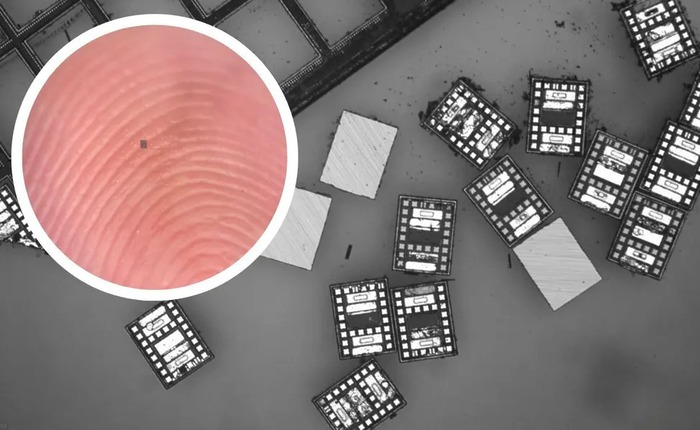 Các nhà khoa học vừa chế tạo thành công những robot vi mô, chỉ nhỏ bằng một sinh vật đơn bào và 'hoạt động vĩnh cửu' nhờ ánh sáng