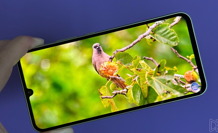 Galaxy A34 gặp lỗi lạ: Cứ cắm tai nghe dây là không xem được Netflix HD