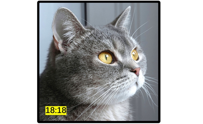 Samsung sắp ra mắt điện thoại gập màn hình vuông 1:1 để đối đầu iPhone Fold?