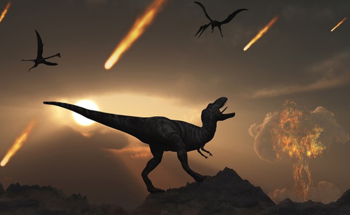 Không có Chicxulub, khủng long có tiến hóa thành "người"?