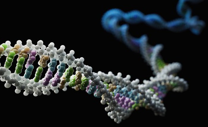 Giải mã gene chống HIV: Biến thể kháng virus có thể bắt nguồn từ người cổ đại sống gần Biển Đen cách đây 9.000 năm