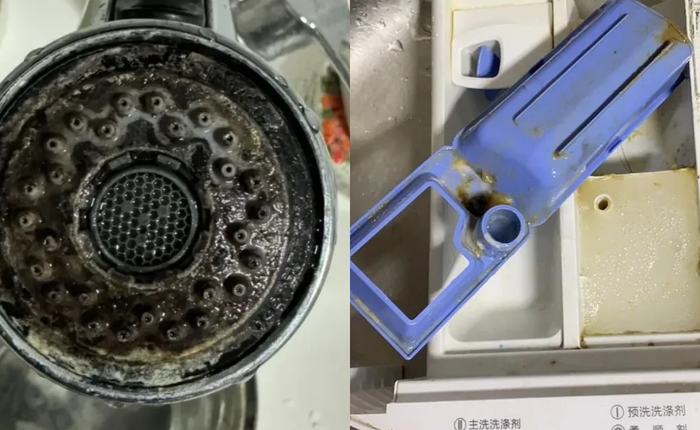 6 vật ngày nào cũng dùng dễ là ổ nấm mốc, bẩn kinh hoàng lại lăm le gây bệnh cho người