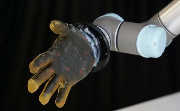 Robot biết đau nhờ da nhân tạo mới