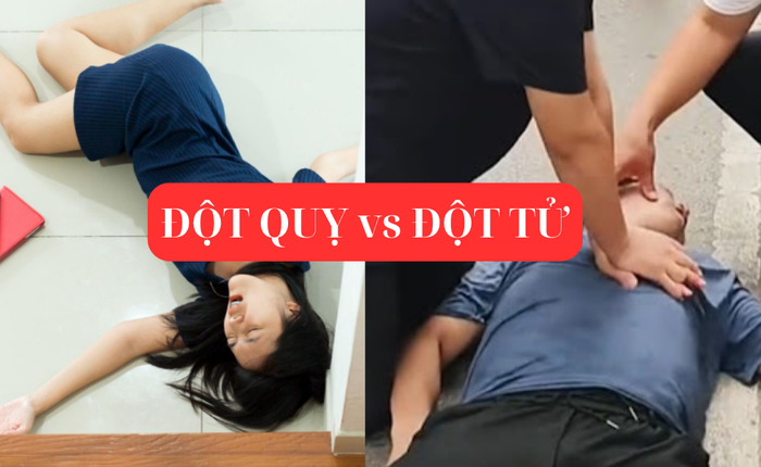 Cách phân biệt ĐỘT QUỴ với ĐỘT TỬ, tưởng "biết rồi, khổ lắm, nói mãi" nhưng 10 người thì 9 người hiểu sai!