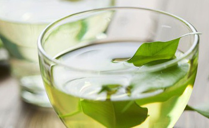 Loại lá dân dã của Việt Nam đun nước uống hiệu quả hơn hẳn thực phẩm chức năng đắt tiền