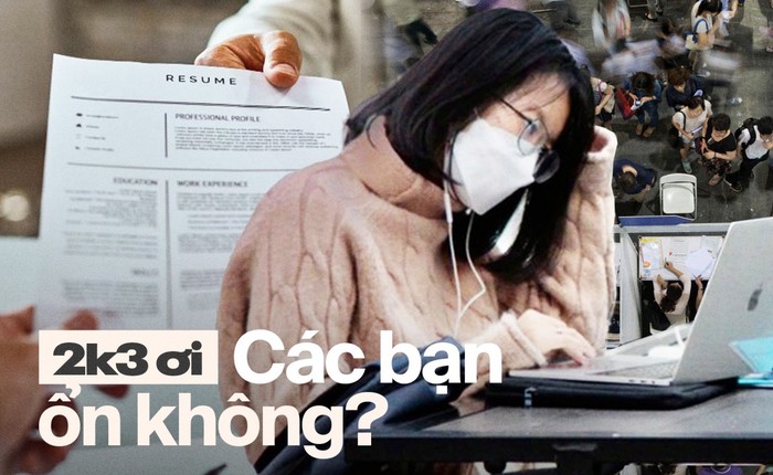 2k3 ra trường nhưng không thể kiếm việc