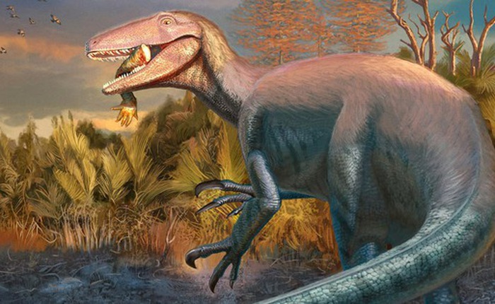 Hé lộ loài khủng long Megaraptor mới với bữa ăn cuối cùng vẫn còn kẹt trong hàm