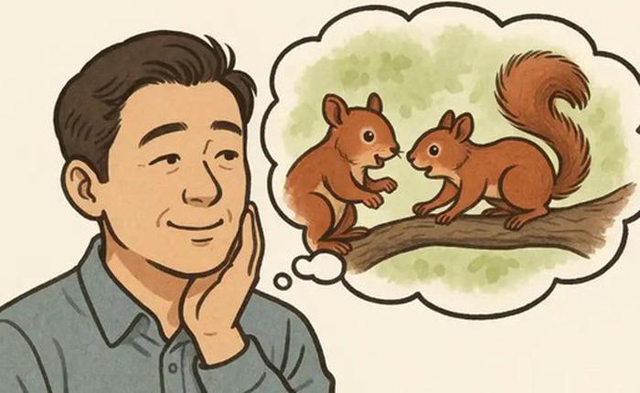 Tại sao não bạn nhớ một số thứ và hoàn toàn quên những thứ khác?