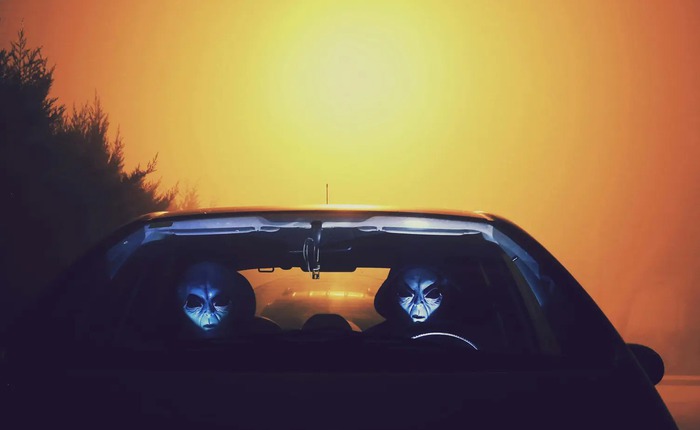 Một nghiên cứu về loài ong cho thấy con người có thể giao tiếp với người ngoài hành tinh bằng ngôn ngữ toán học