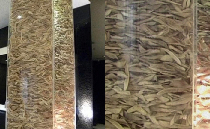 Bức ảnh khiến nhiều người sởn gai ốc tại 1 phòng khám phẫu thuật thẩm mỹ khu Gangnam Hàn Quốc