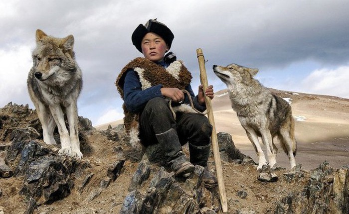 Vì sao bầy sói luôn là nỗi uất ức không thể nói thành lời của người du mục Tân Cương?