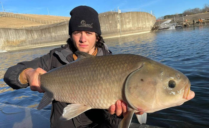 Sống hơn một thế kỷ, không lão hóa và nghịch lý sinh tồn của loài cá cổ đại Bắc Mỹ đang bị lãng quên