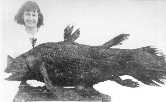 Làm thế nào để hồi sinh một loài được cho là đã tuyệt chủng 66 triệu năm?