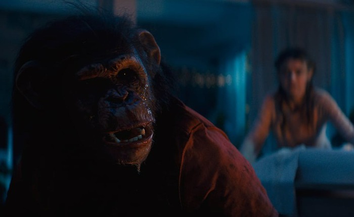 "Primate" 2026: Cơn ác mộng đẫm máu từ thú cưng hóa quái vật khơi dậy niềm vui nguyên thủy của dòng phim kinh dị