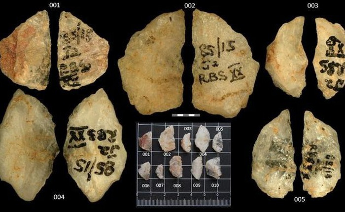 Mũi tên tẩm độc 60.000 năm tuổi hé lộ trí tuệ săn bắn vượt trội của con người thời tiền sử