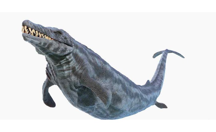 Thung lũng cá voi ở Ai Cập hé lộ hành trình tiến hóa kỳ lạ khi cá voi từng có chân và sống trên đất liền