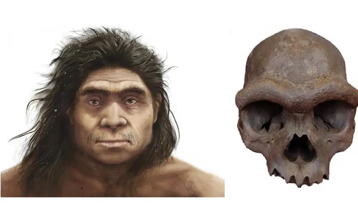 Giải mã bí mật chấn động về dung mạo người Denisovan: Nhánh nhân loại bí ẩn đã lộ diện