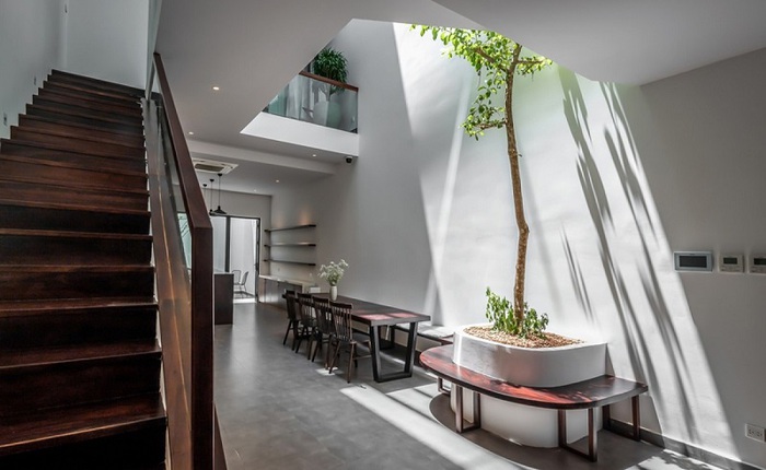 Những dấu hiệu trong không gian sống mà người xưa coi là “tụ khí tốt”, nay khoa học giải thích ra sao?