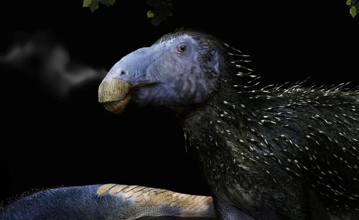 Bí ẩn bộ giáp gai rỗng của loài khủng long 125 triệu năm tuổi làm giới cổ sinh vật học hoàn toàn bối rối