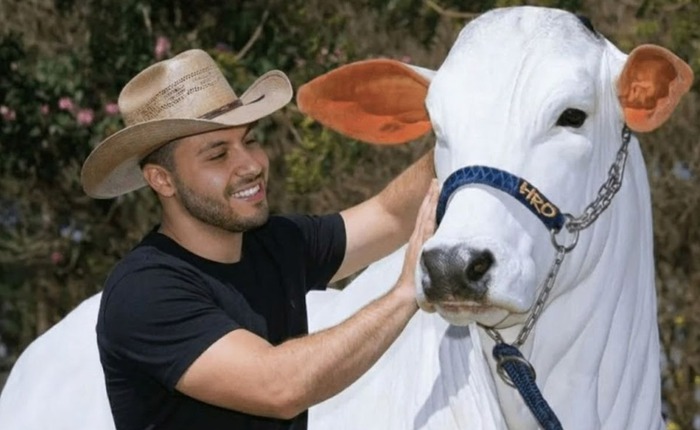 Đây là con bò đắt nhất thế giới với trọng lượng hơn 1 tấn và có giá hơn 4 triệu USD