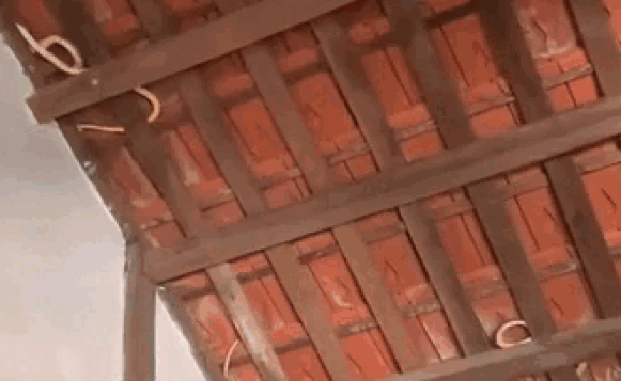 Dọn nhà đón Tết, gia chủ "lạnh sống lưng" khi nhìn thấy cảnh tượng trên mái nhà: Có thể là ám ảnh tới già