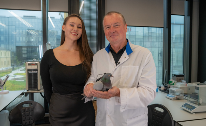 Chuyện thật như đùa: Nga thử nghiệm gắn chip điều khiển vào não chim bồ công để dùng làm công cụ giám sát