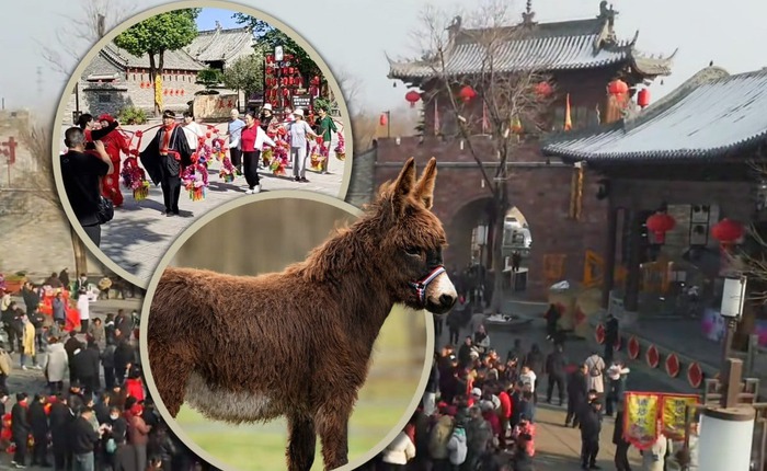 Ngôi làng cổ 600 năm tuổi tại Trung Quốc đổi đời nhờ đóng phim: Cả người và vật nuôi đều thành diễn viên