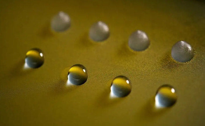 Phát hiện protein nấm có thể đóng băng nước ở nhiệt độ cao mở ra khả năng điều khiển thời tiết trong tương lai