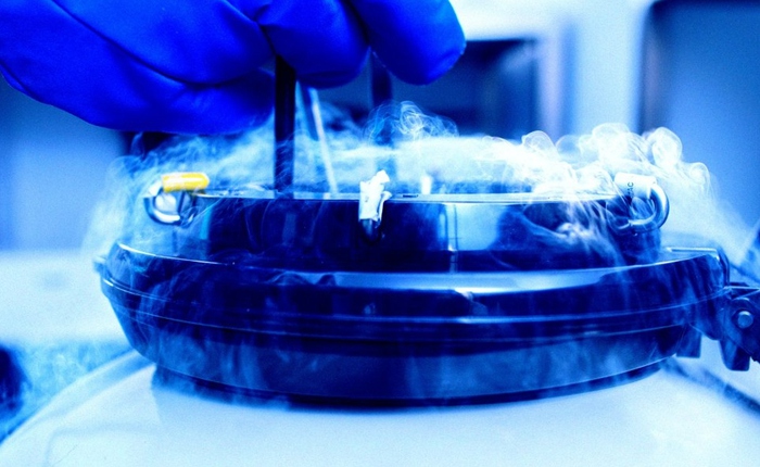 Não chết rồi vẫn “sống lại”? Thí nghiệm đóng băng sâu gây chấn động giới khoa học toàn cầu