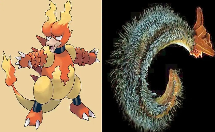 Bí ẩn về 7 loài động vật có sức mạnh tương đồng với Pokémon huyền thoại