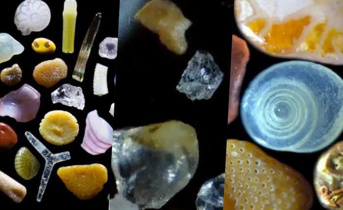 Tại sao hình dạng của cát trong sa mạc lại khác với cát trên bãi biển?