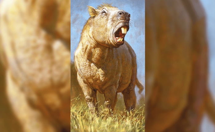 Bí ẩn loài gặm nhấm khổng lồ nhất lịch sử Trái Đất, mang khối lượng nửa tấn cùng lực cắn kinh hoàng