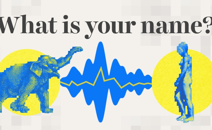 Trí tuệ nhân tạo có thể giúp chúng ta nói chuyện với động vật không?