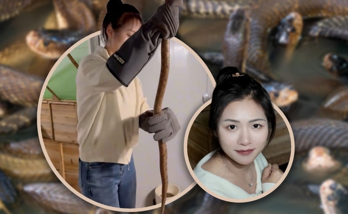 Bỏ phố về làng nuôi 60.000 rắn độc, cô gái Trung Quốc khiến mạng xã hội sửng sốt với thu nhập tiền tỷ