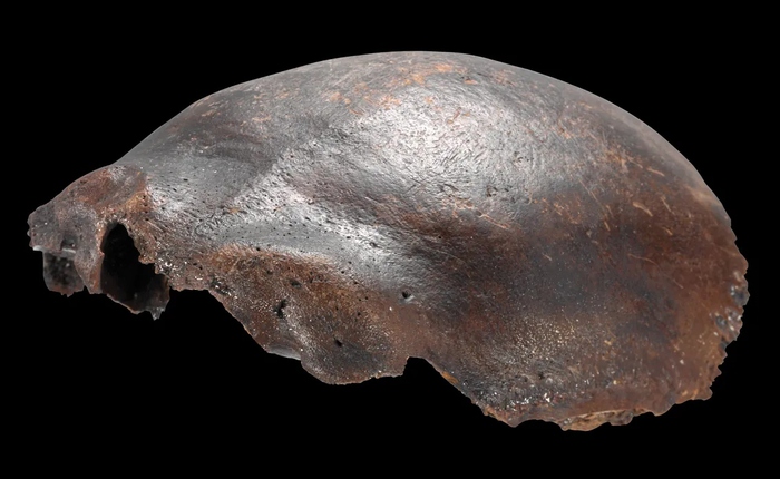 Hộp sọ được cho là của người lai Neanderthal, từng gây chấn động khoa học: Nghiên cứu mới hé lộ sự thật bất ngờ