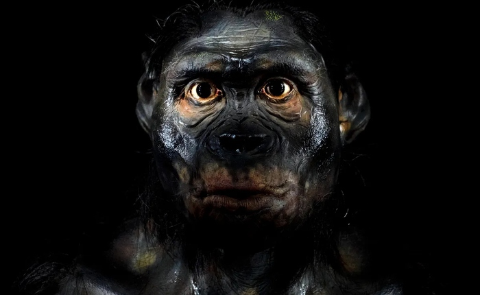 Bí ẩn bộ gen người: Tổ tiên chúng ta từng lai tạo với hai loài siêu cổ xưa, riêng biệt và bí ẩn