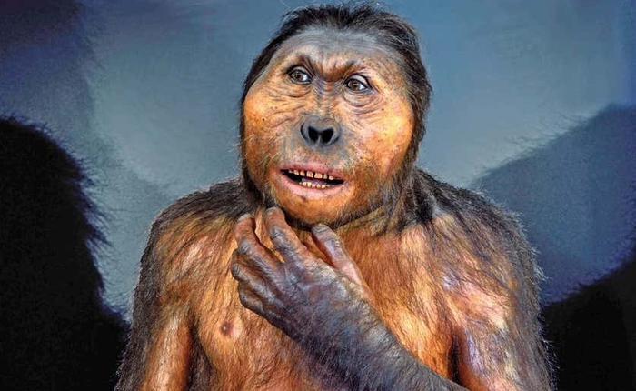 Loài Paranthropus đã cùng tồn tại với con người trong 850.000 năm, nhưng lại không để lại hậu duệ nào: Lực cắn cực mạnh chính là nguyên nhân dẫn đến sự tuyệt chủng của chúng